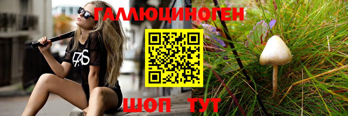 Галлюциногенные грибы Cubensis Алейск