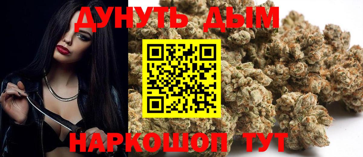 Каннабис сатива Алейск